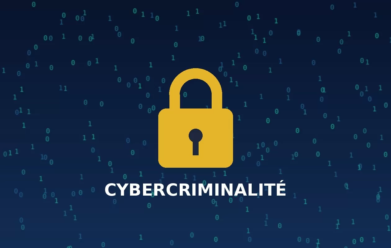 Affaire « Kocc Barma » : près de 130 000 fichiers pornographiques extraits des serveurs de deux sites